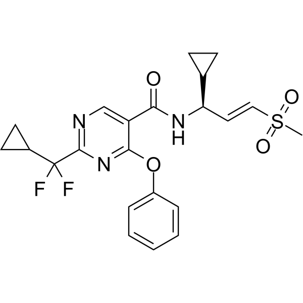 WRN inhibitor 8 3026502-95-1